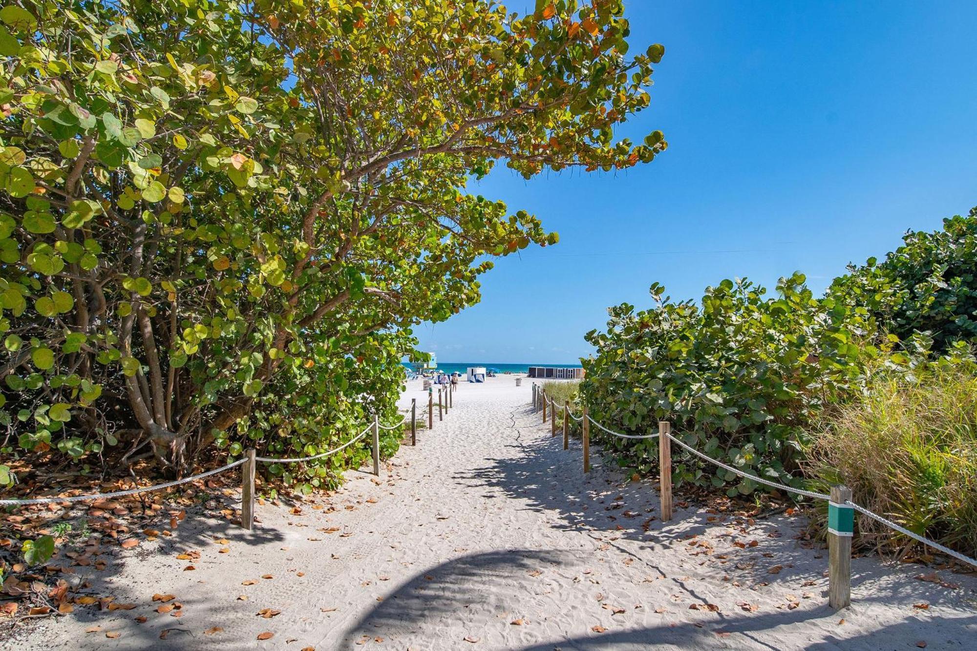 Charming Large Near Ocean Dr - South Appartement *